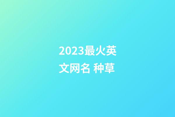 2023最火英文网名 种草